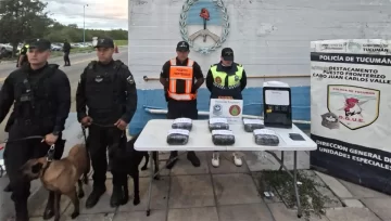 1200x680_detienen-gerente-empresa-correo-transporte-marihuana-1118331-110543-360x204