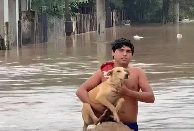 images-84-e1773335814768