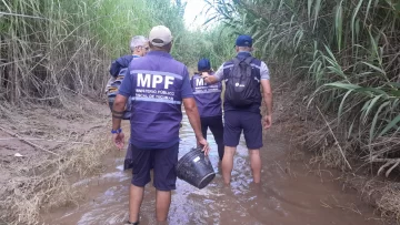 WhatsApp-Image-2026-02-04-at-18.17.51-360x203