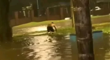 RN4O36DXXVDLPD663A4QJ6U63I-360x196