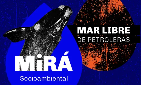 Captura-de-pantalla-2025-07-31-190401