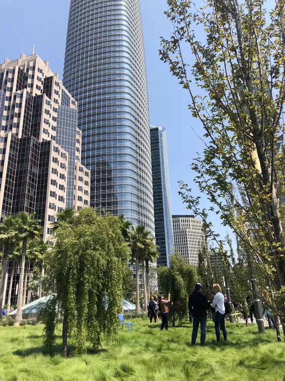 Salesforce_Tower_(30130884988)