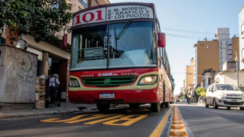 colectivos