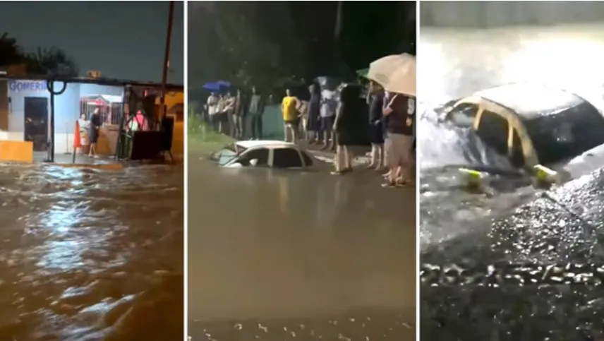 Captura de pantalla 2026-02-22 182548