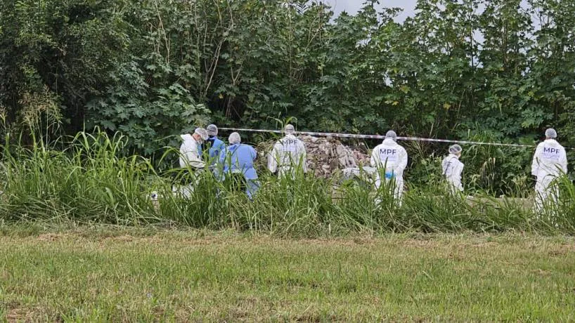 multimedia.normal.98f2c3b13a9abf4e.bm9ybWFsLndlYnA=