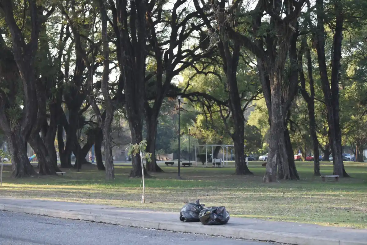 1200x800_fiesta-dia-nino-fue-exito-menos-basura-dispersa-parque-9-julio-1098276-093049 (1)