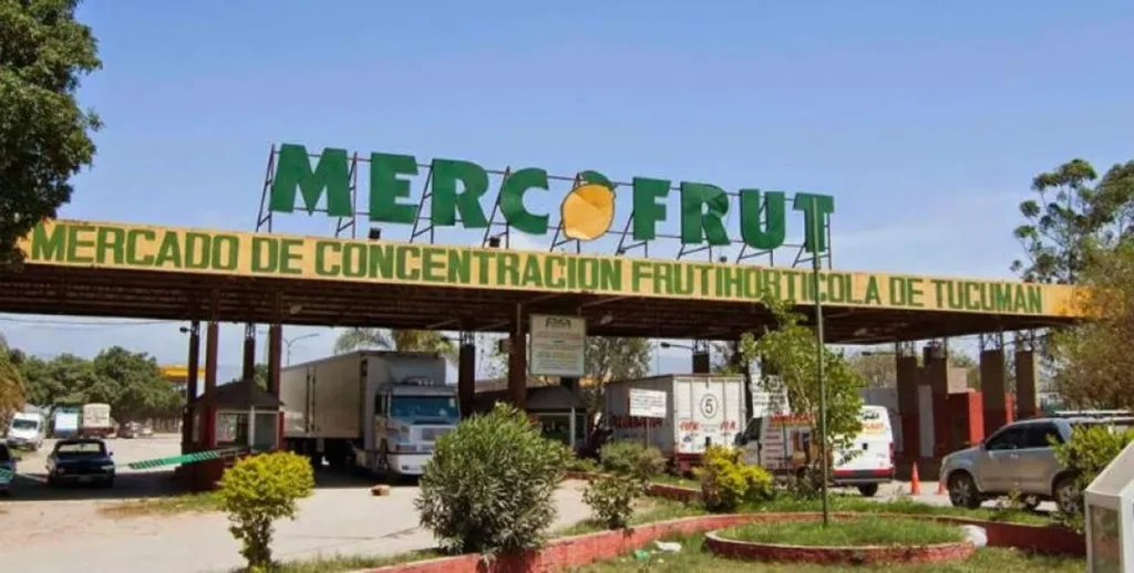 Mercofrut-1024x518