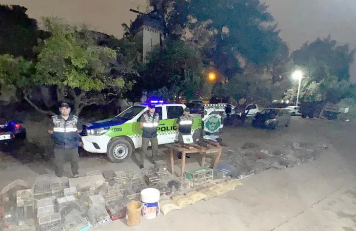 730x473_251107110637_61270