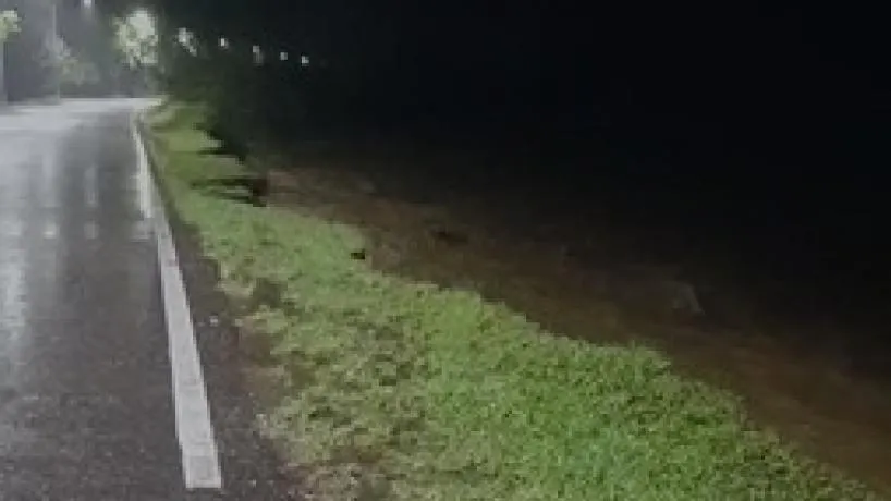 818x460_260119085448_59986