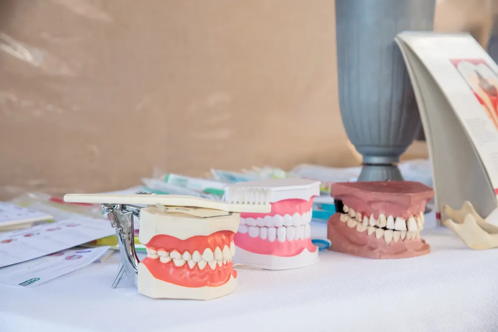 multimedia.normal.adef84a3e6cb8298.bm9ybWFsLndlYnA=