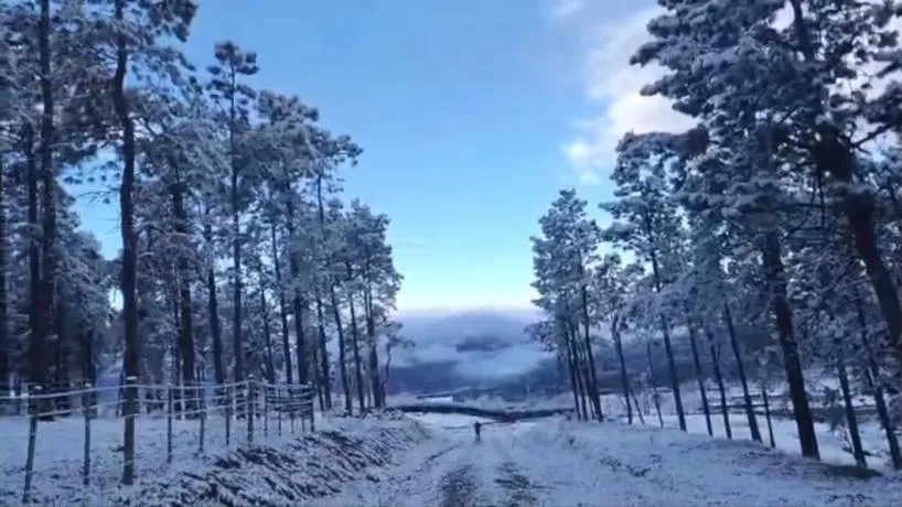 818x460_250808085535_44353