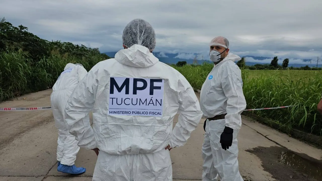 multimedia.normal.86f299b79b37dacd.bm9ybWFsLndlYnA=