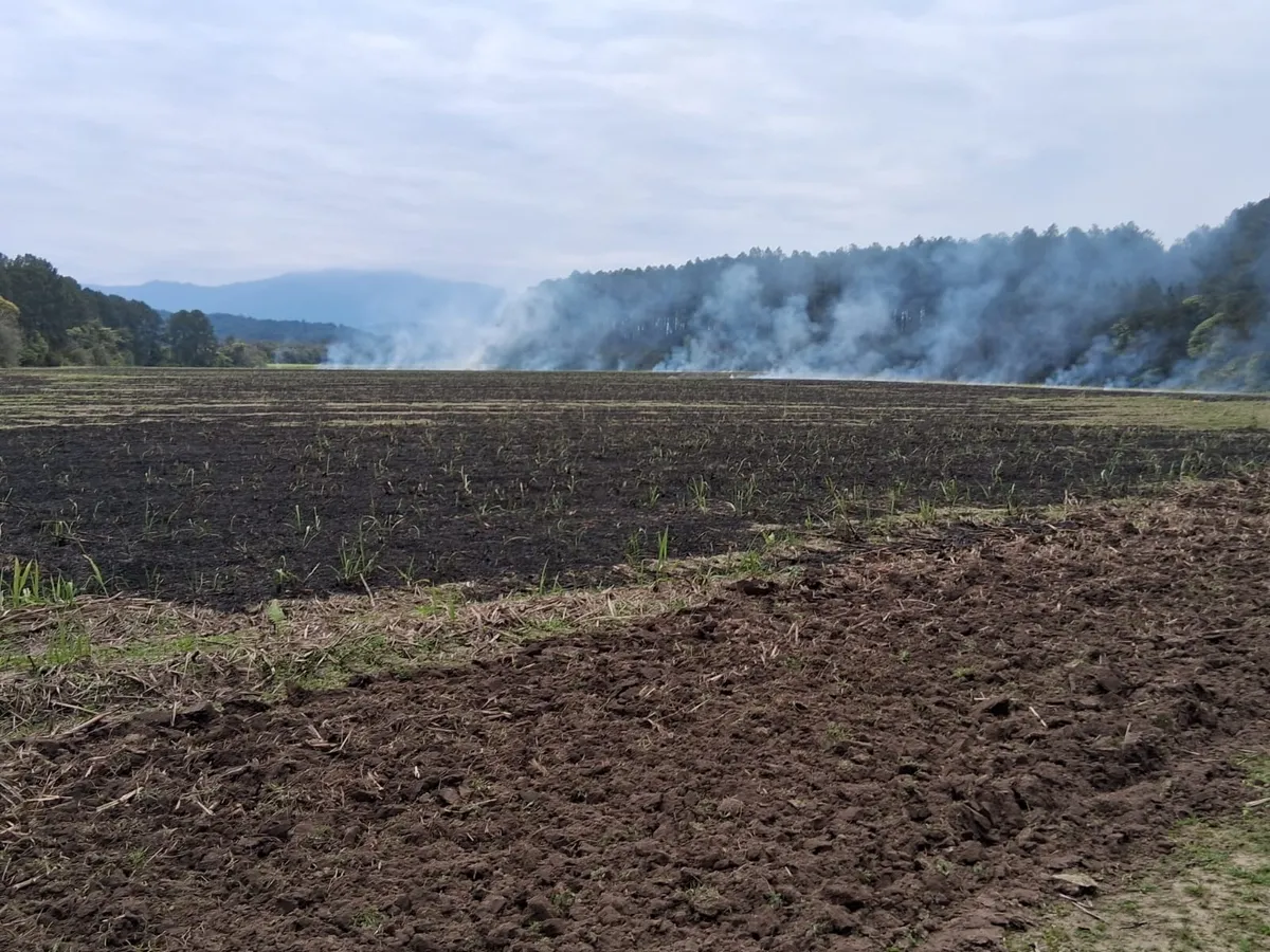 whatsapp-image-2025-08-05-at-83813-pm