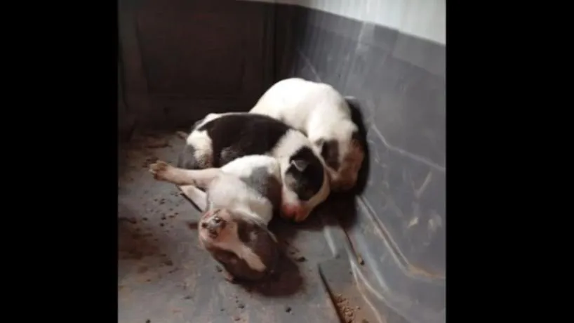 818x460_251202105906_36717