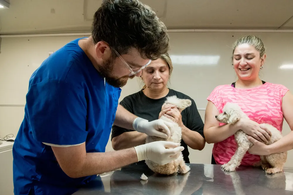 multimedia.grande.bde84e288f55b2fa.Z3JhbmRlLndlYnA=