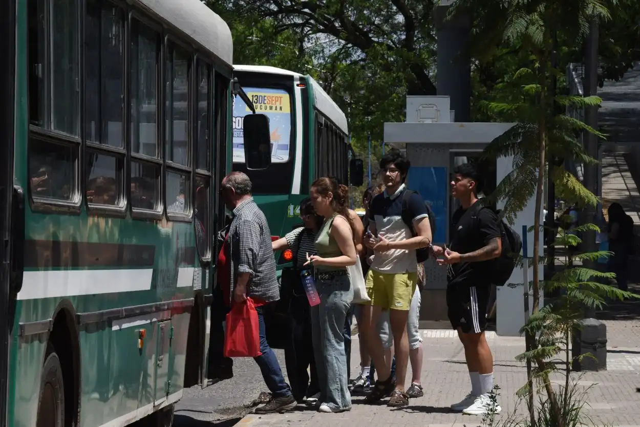 colectivos