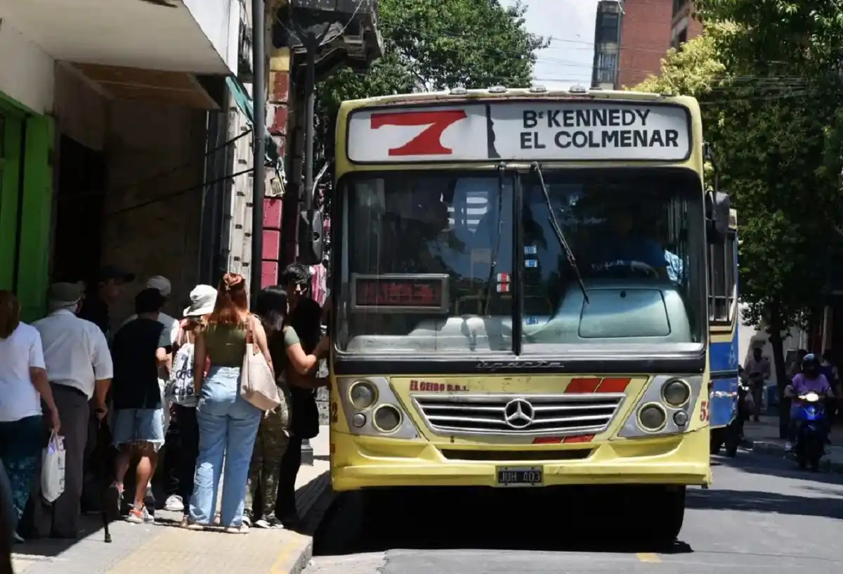 1200x817_linea-7-ceibos-1110896-102351