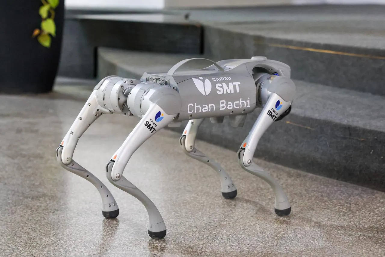 multimedia.normal.8143d2f502c0d081.bm9ybWFsLndlYnA=