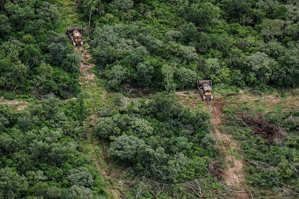 27834_deforeste