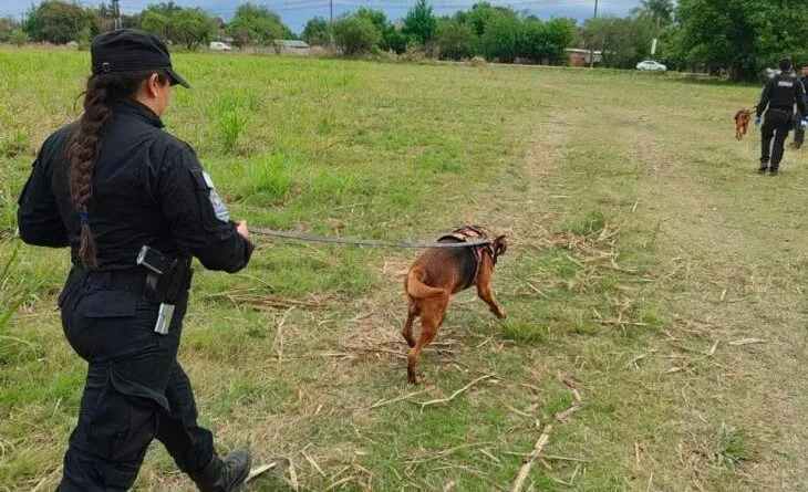 730x473_251002084051_43485-730x445