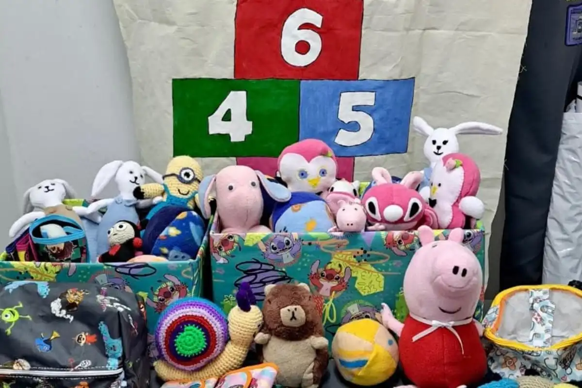 1200x800_internas-delfin-gallo-hicieron-juguetes-para-alumnos-escuela-1149785-212201