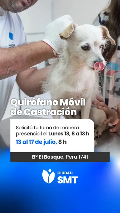 multimedia.grande.84a9d8ab5a57458a.Z3JhbmRlLndlYnA=