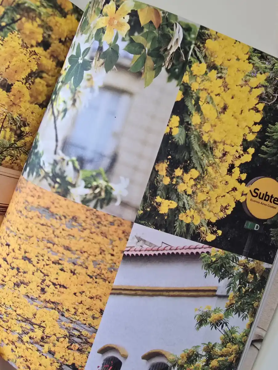 903x1200_tucumana-hizo-florecer-buenos-aires-karina-azaretzky-1099236-203130