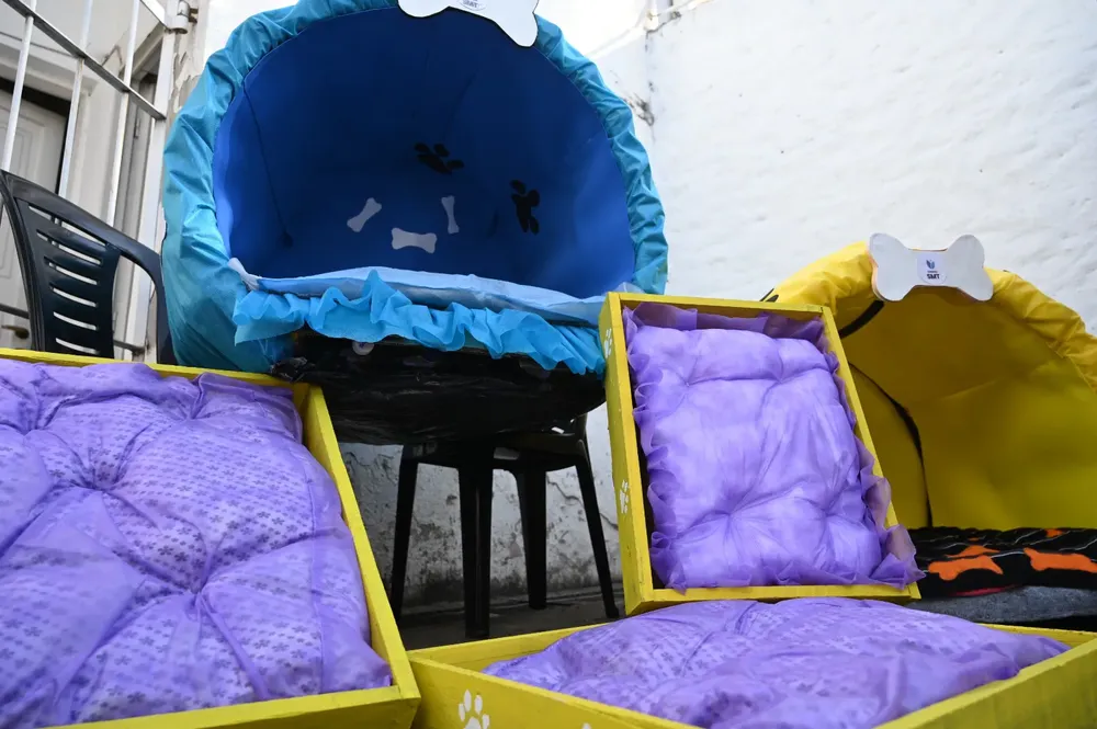 multimedia.grande.b000e237fc93f5ae.Z3JhbmRlLndlYnA=