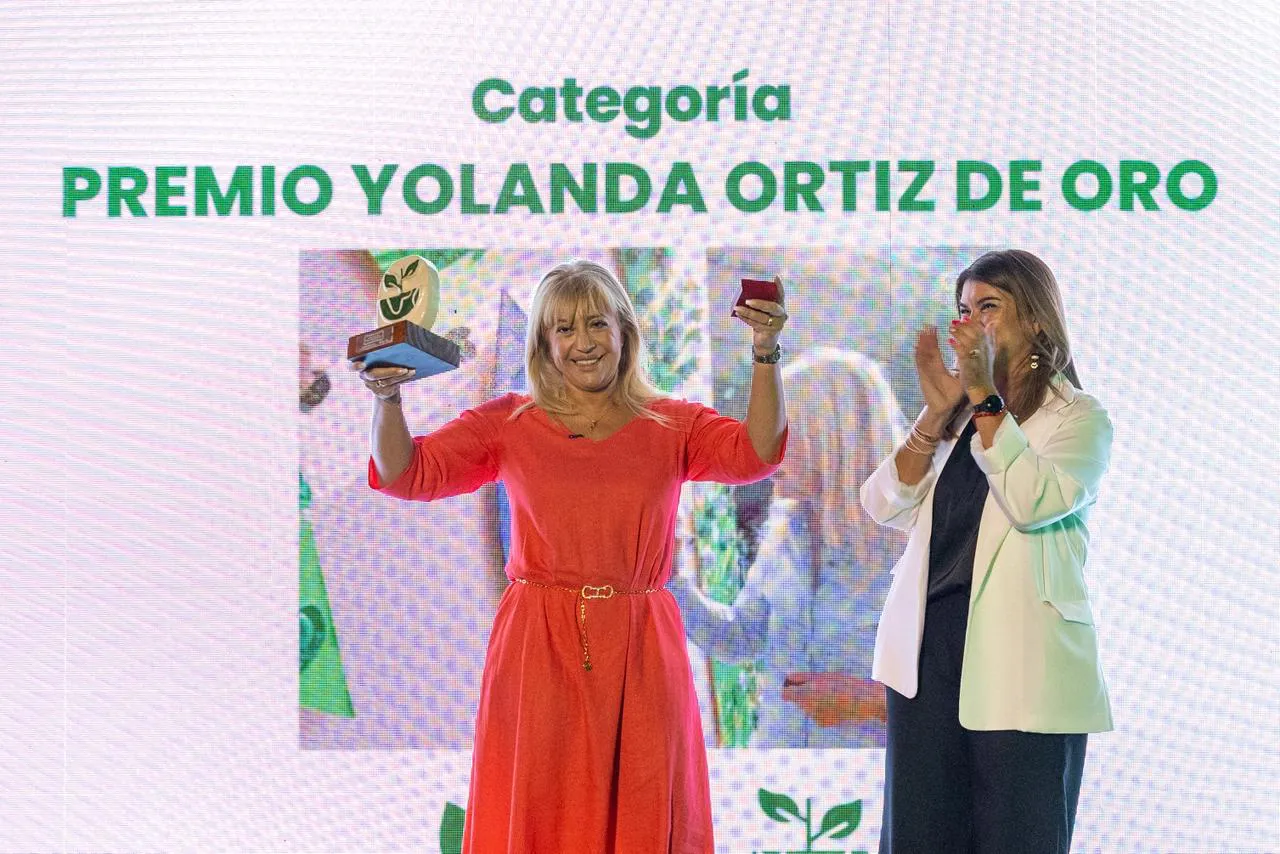 multimedia.normal.a817bdf9cb37de1b.bm9ybWFsLndlYnA=