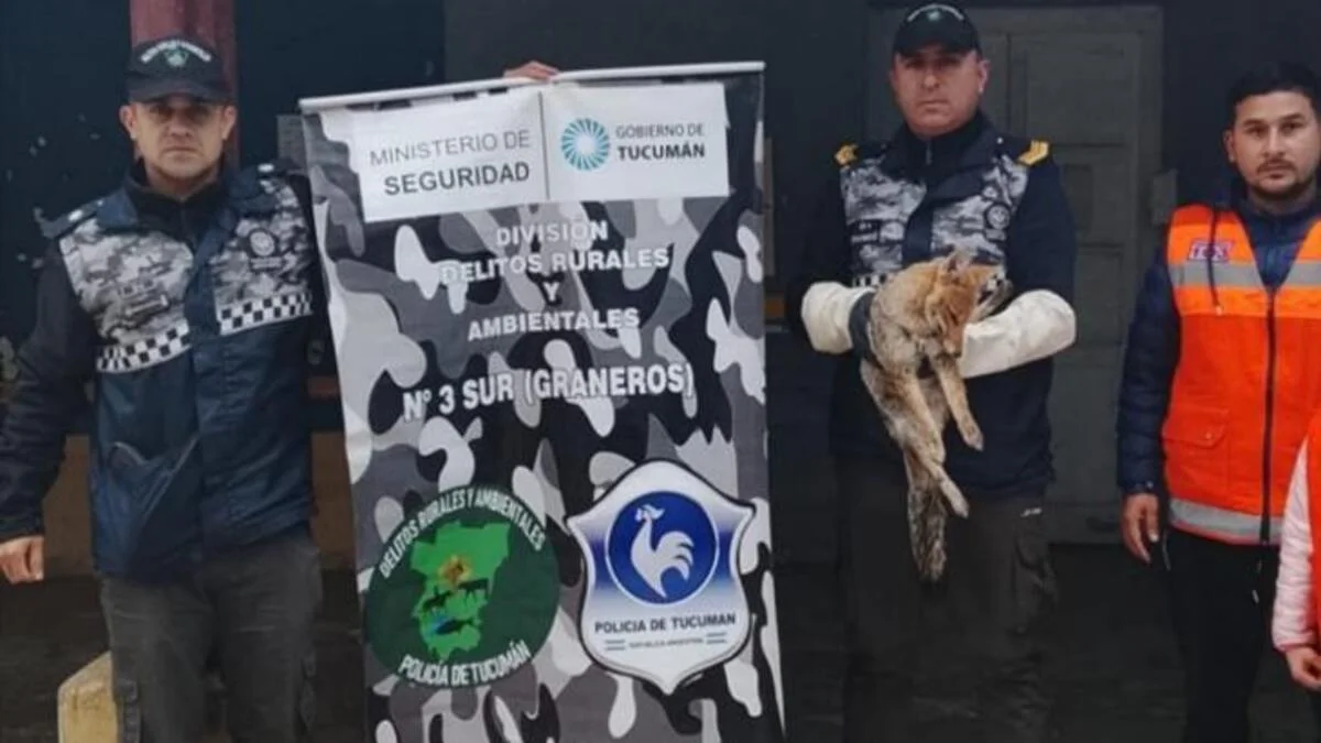 730x473_250730080240_65487