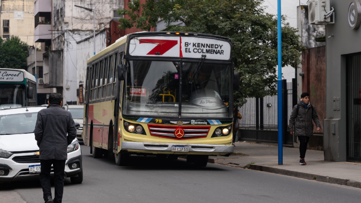 colectivos