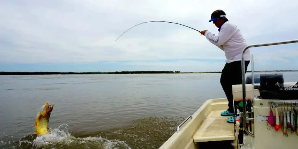 multimedia.normal.860652264b9b618c.bm9ybWFsLndlYnA=