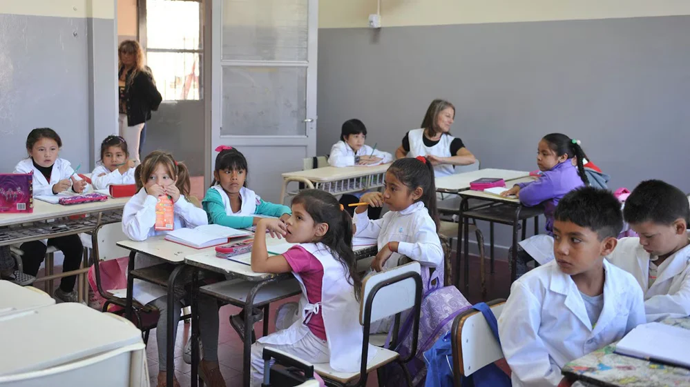 79629_rendimiento