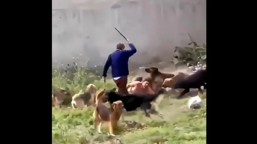 818x460_250903074646_75767