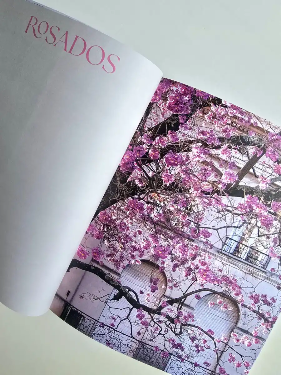 900x1200_tucumana-hizo-florecer-buenos-aires-karina-azaretzky-1099236-203115