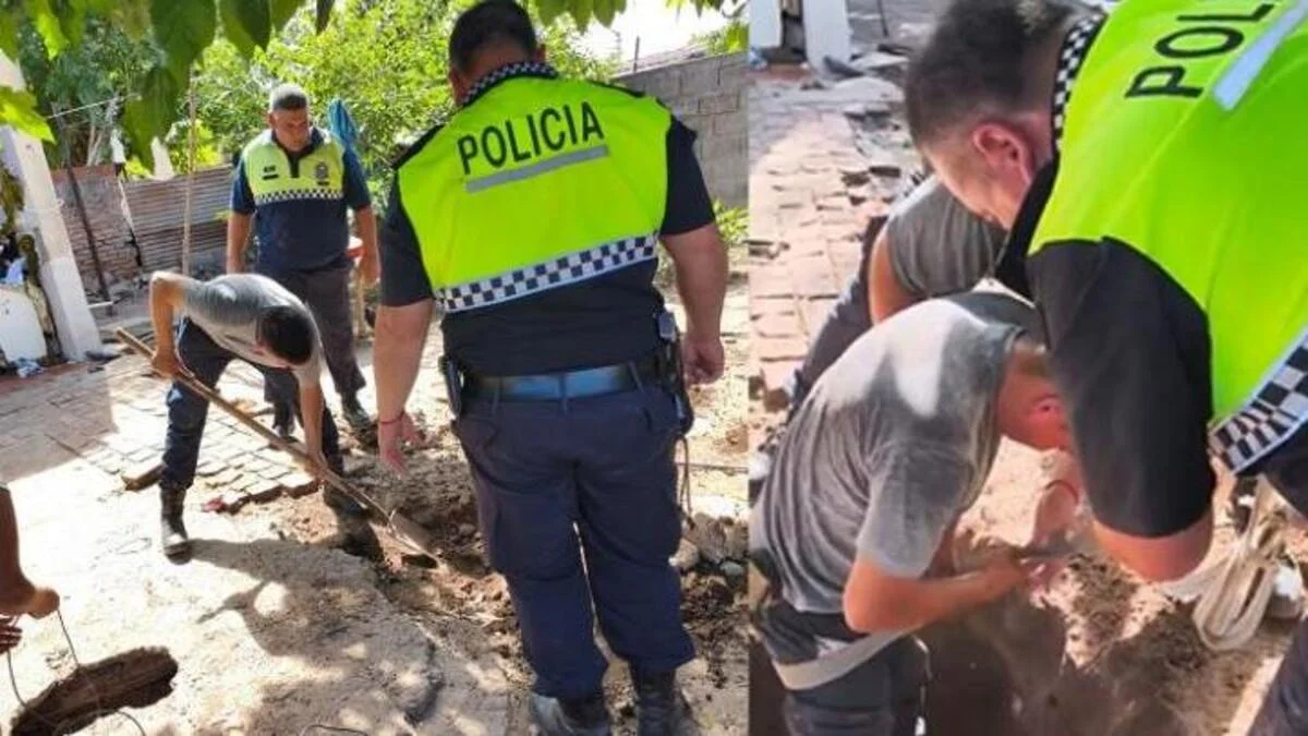 730x473_251210075538_23853