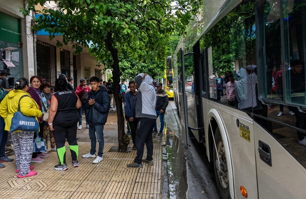 24747_golondrianas