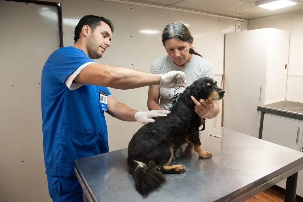 multimedia.normal.bab2527dd6689a2c.bm9ybWFsLndlYnA=