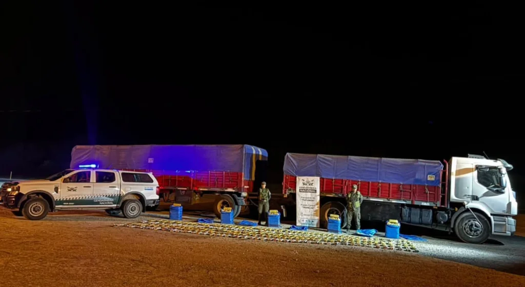 82614_ingreso_tucuman_camion_vacio_escaner_mentira_hojas_coca