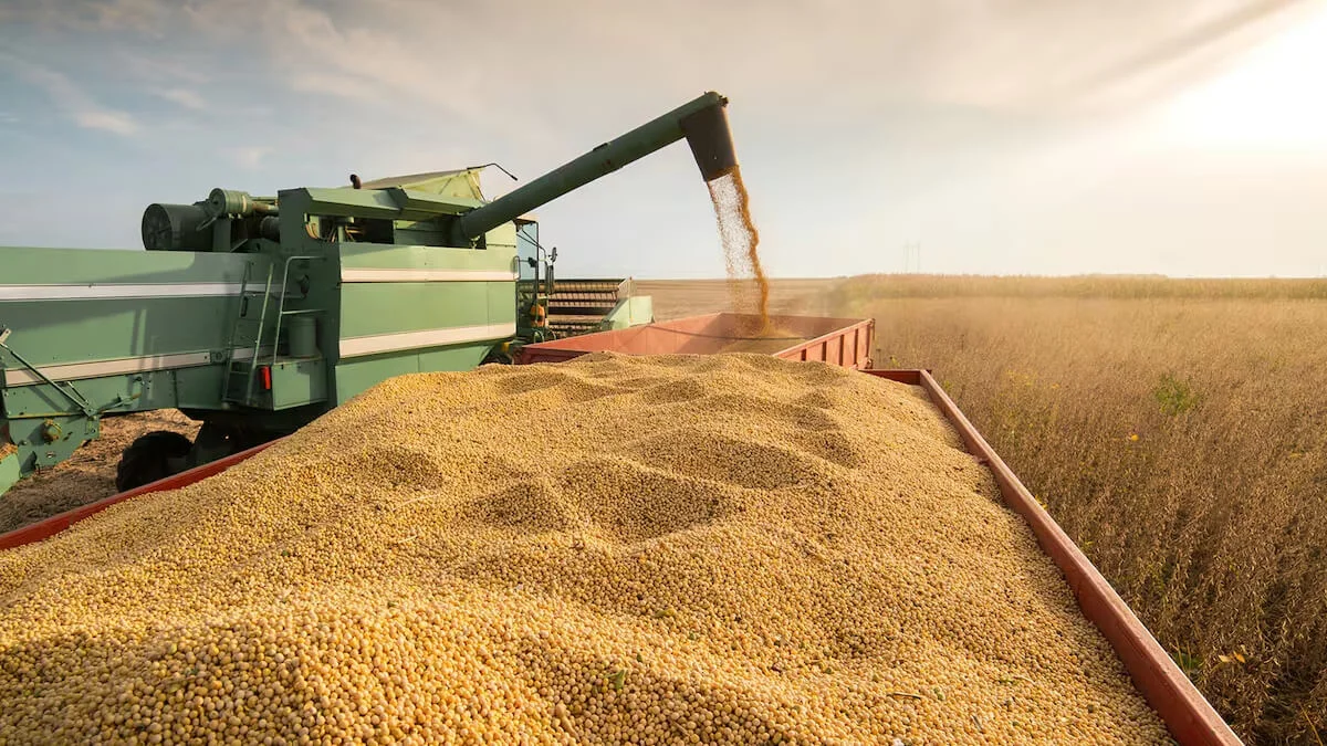 baja-retenciones-agro-caputo-milei-reduccion-soja-maiz-trigo-02
