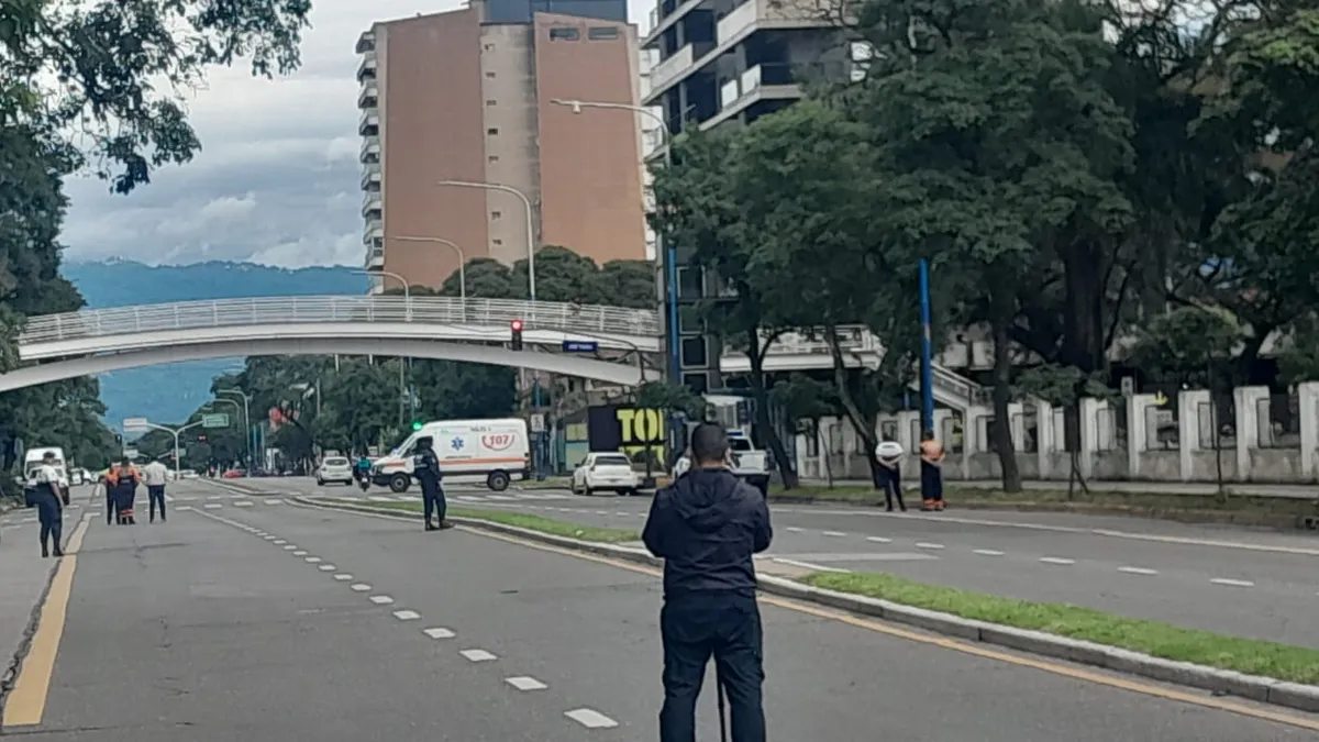 multimedia.normal.a5c27c6ae782a09d.bm9ybWFsLndlYnA=