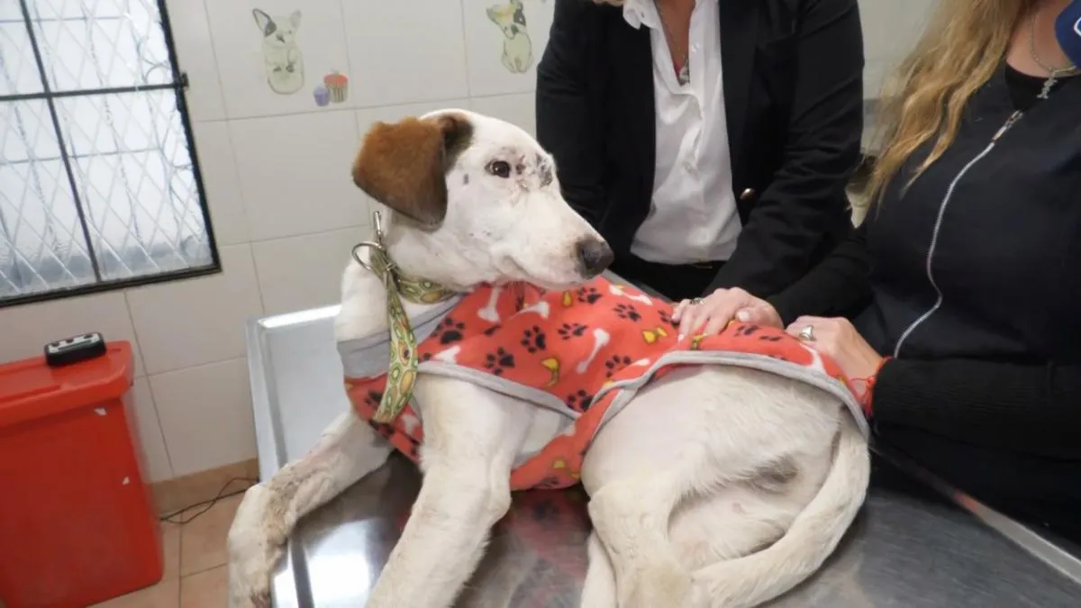 captura-de-video-1093405-104132