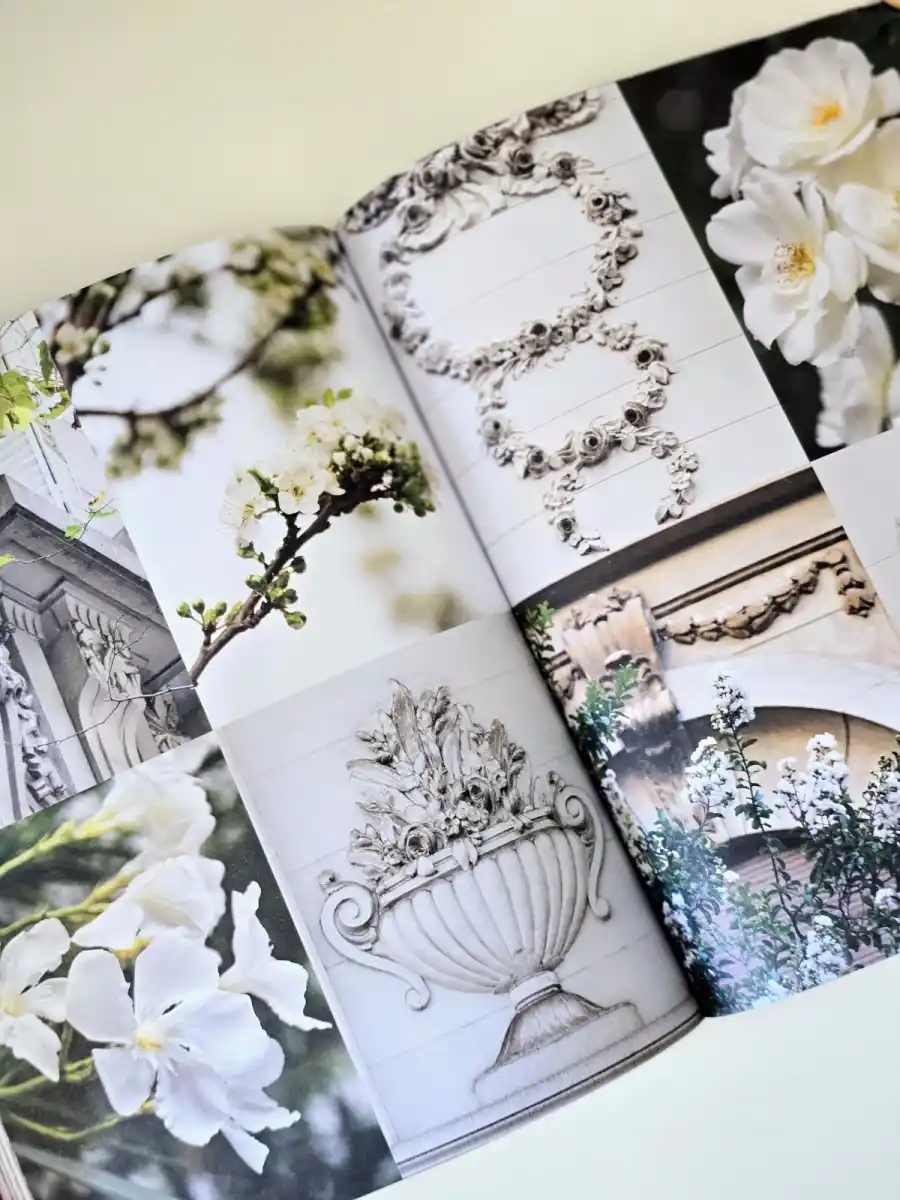 900x1200_tucumana-hizo-florecer-buenos-aires-karina-azaretzky-1099236-203233