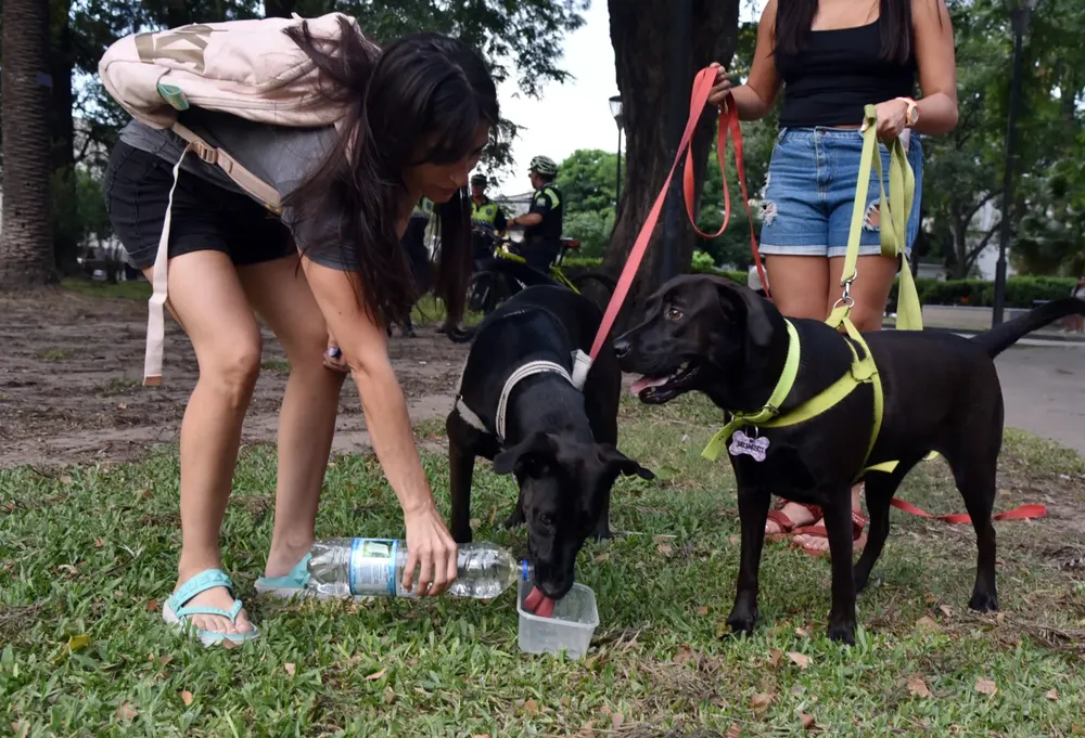 multimedia.grande.931118c2bb0fd72b.Z3JhbmRlLndlYnA=