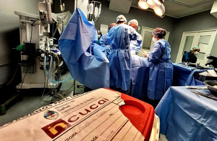 multimedia.normal.be9001c2b89b6407.bm9ybWFsLndlYnA=