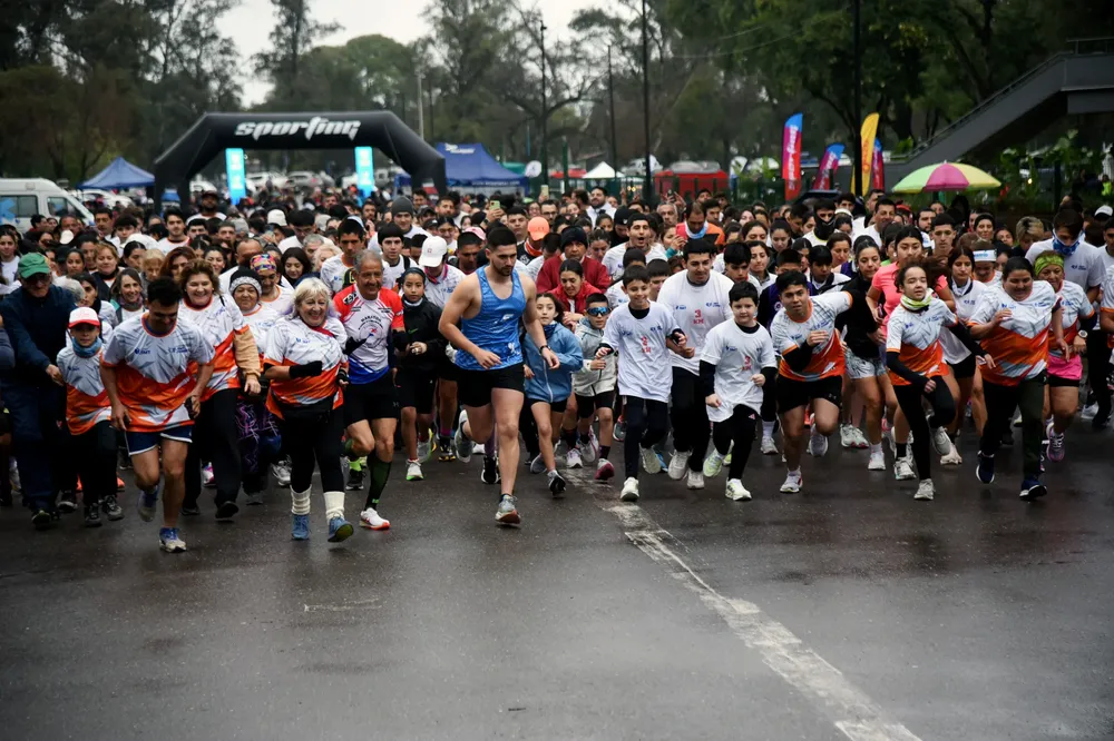 multimedia.grande.87bacd4df8476f0f.Z3JhbmRlLndlYnA=