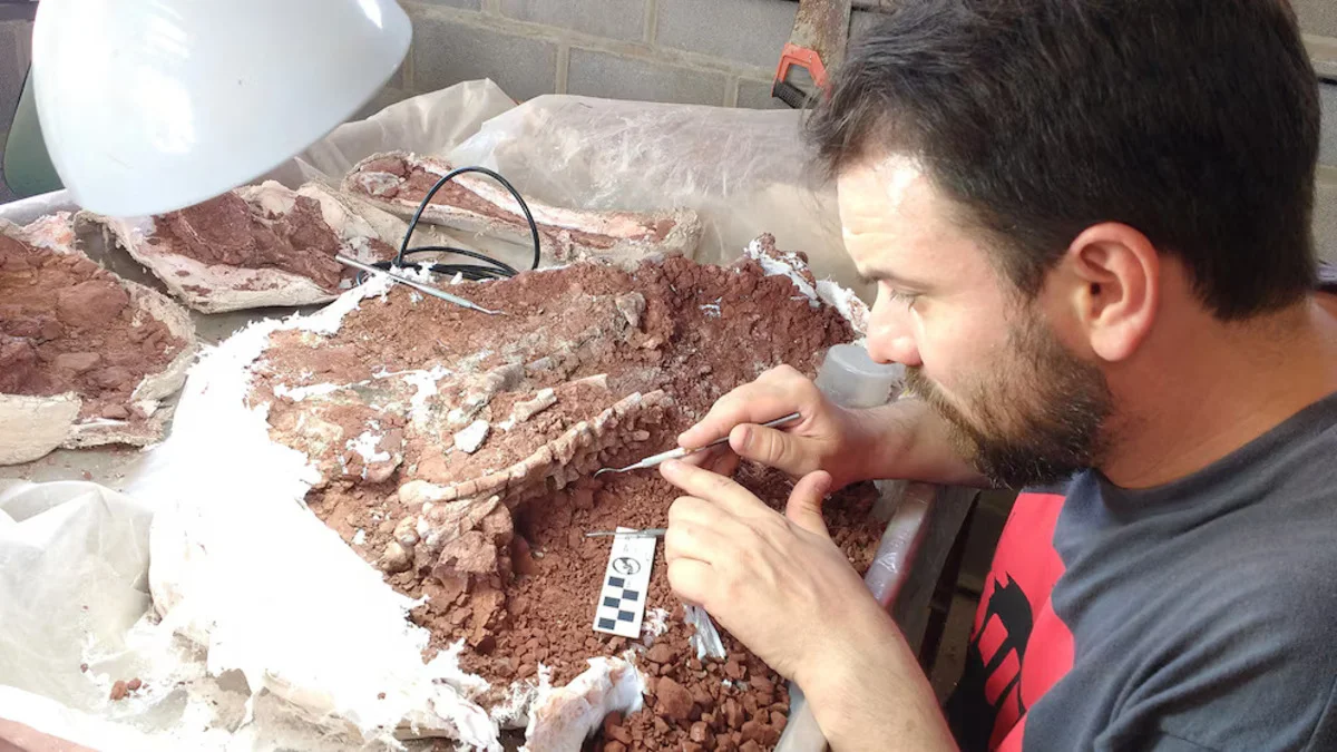 W254323OIVFCNM2G6JEH6G6E3A-1