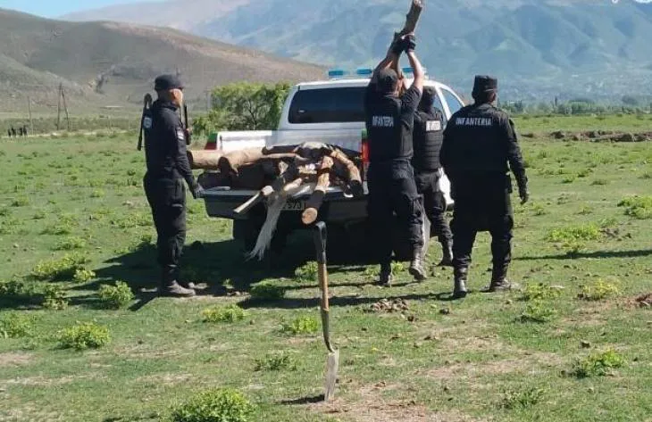 730x473_250812111345_63146