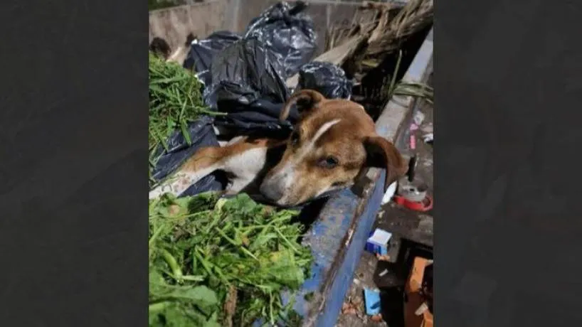 818x460_250811102720_76759