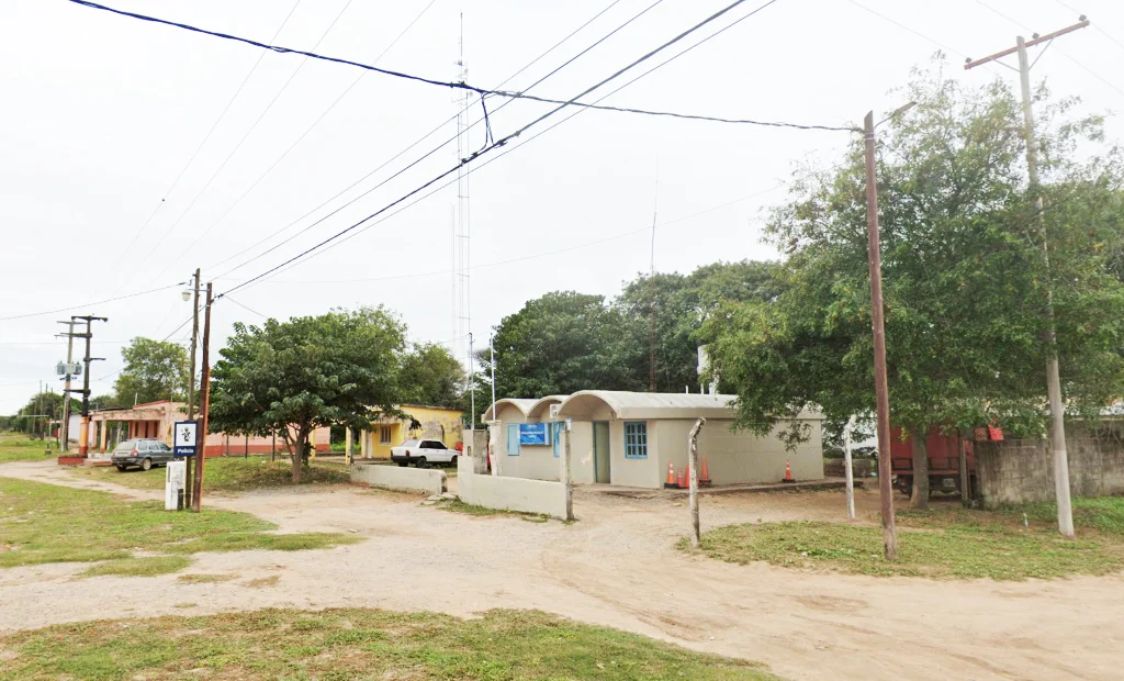 72898_89074_santiaguen__os_ataque_abejas_traslado_tucuman_nuerto_grave